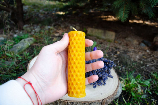 Bičių vaško žvakė "Korys"