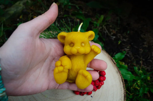 Rankoje laikoma natūralaus bičių vaško žvakė tigriukas demonstruojant jos dydį.