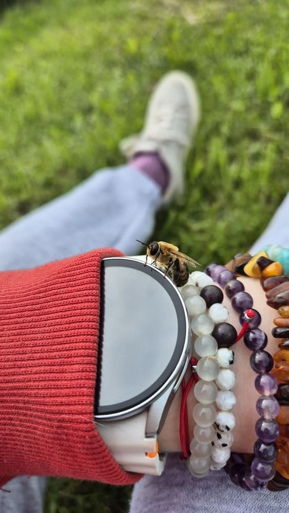 Ant rankos nutūpus bitutė.