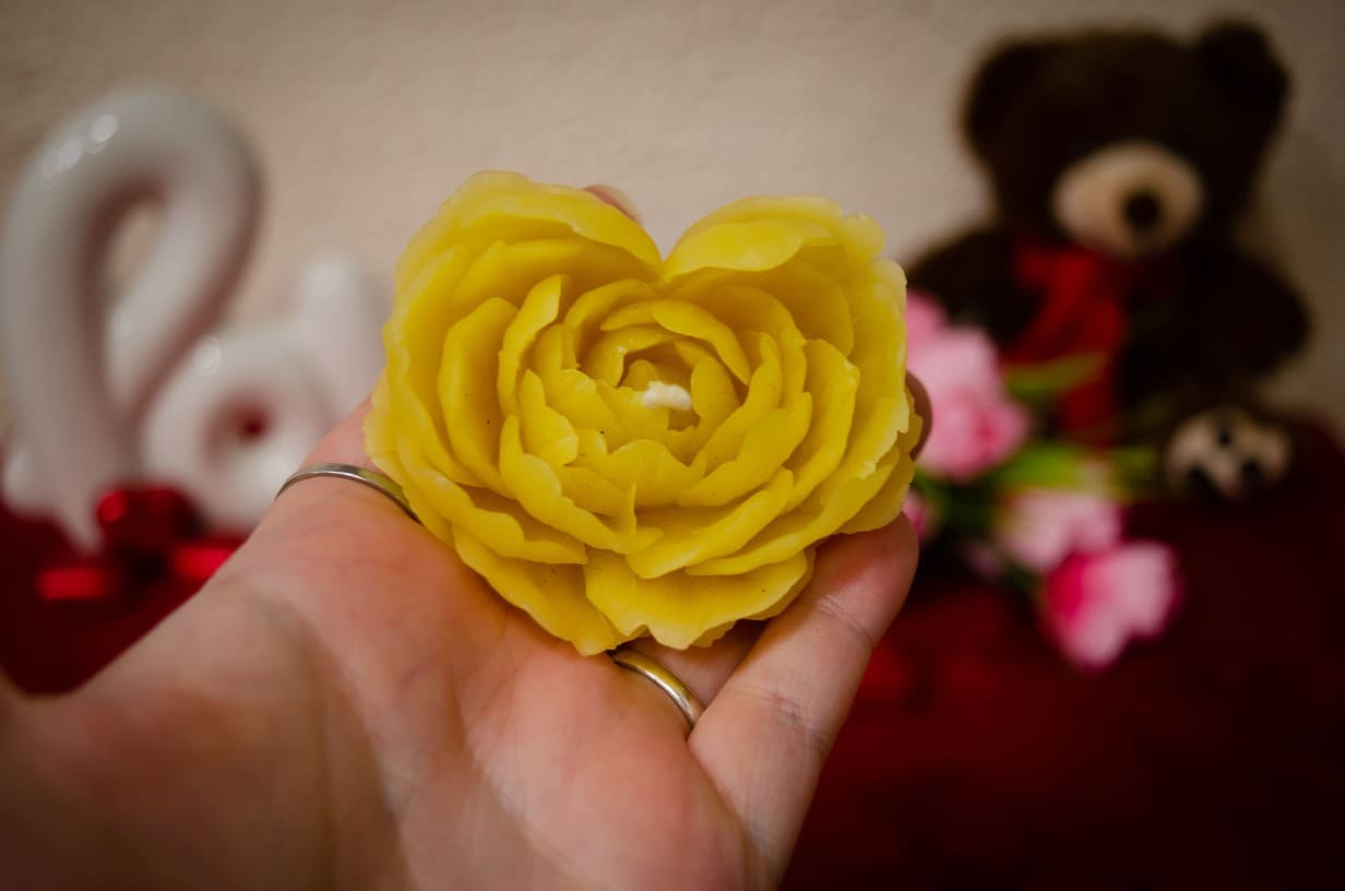 Rankoje laikoma natūralaus bičių vaško rožės formos žvakė.