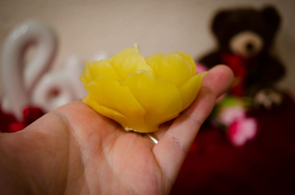 Geltona rožės formos bičių vaško žvakė delne, vaizduojama lapų detalės iš arti.