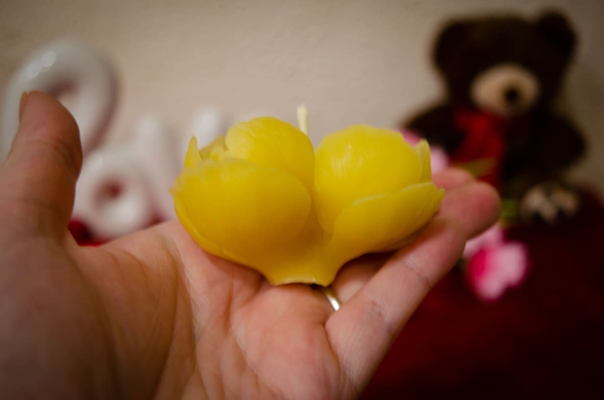 Geltona rožės formos bičių vaško žvakė delne.