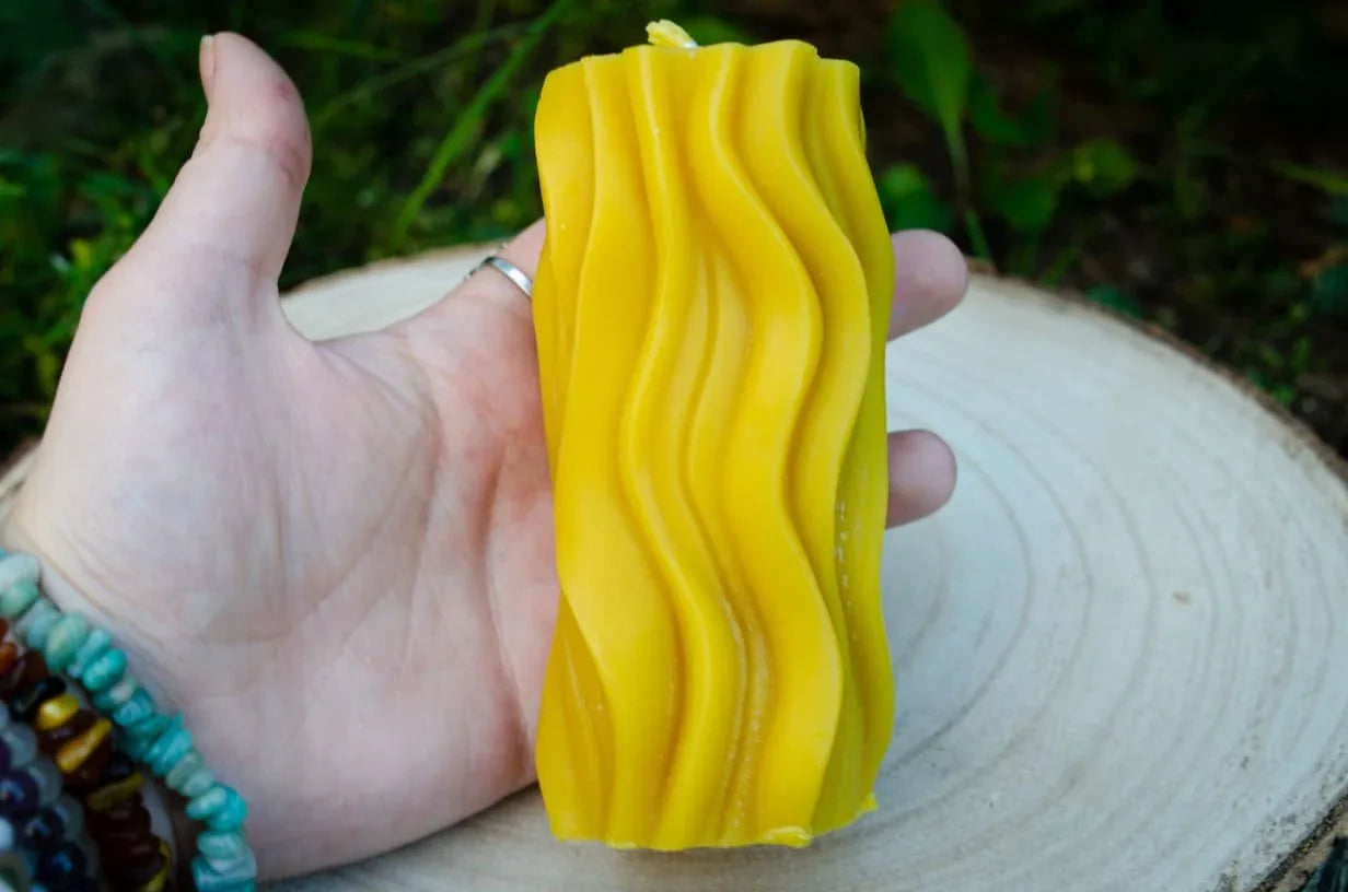 Nuotraukoje matoma žvakė bangelė laikoma rankoje dėl dydžio palyginimo