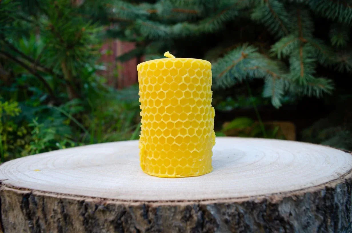 cilindrinės žvakės nugara su pavaizduoomis bitėmis ir koriais