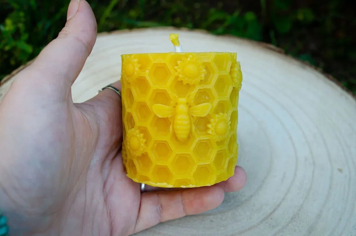 Bičių vaško žvakė su bite ir saulegražomis laikoma rankoje