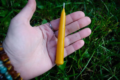 Bičių vaško žvakių rinkinys "Dipai" - Melora