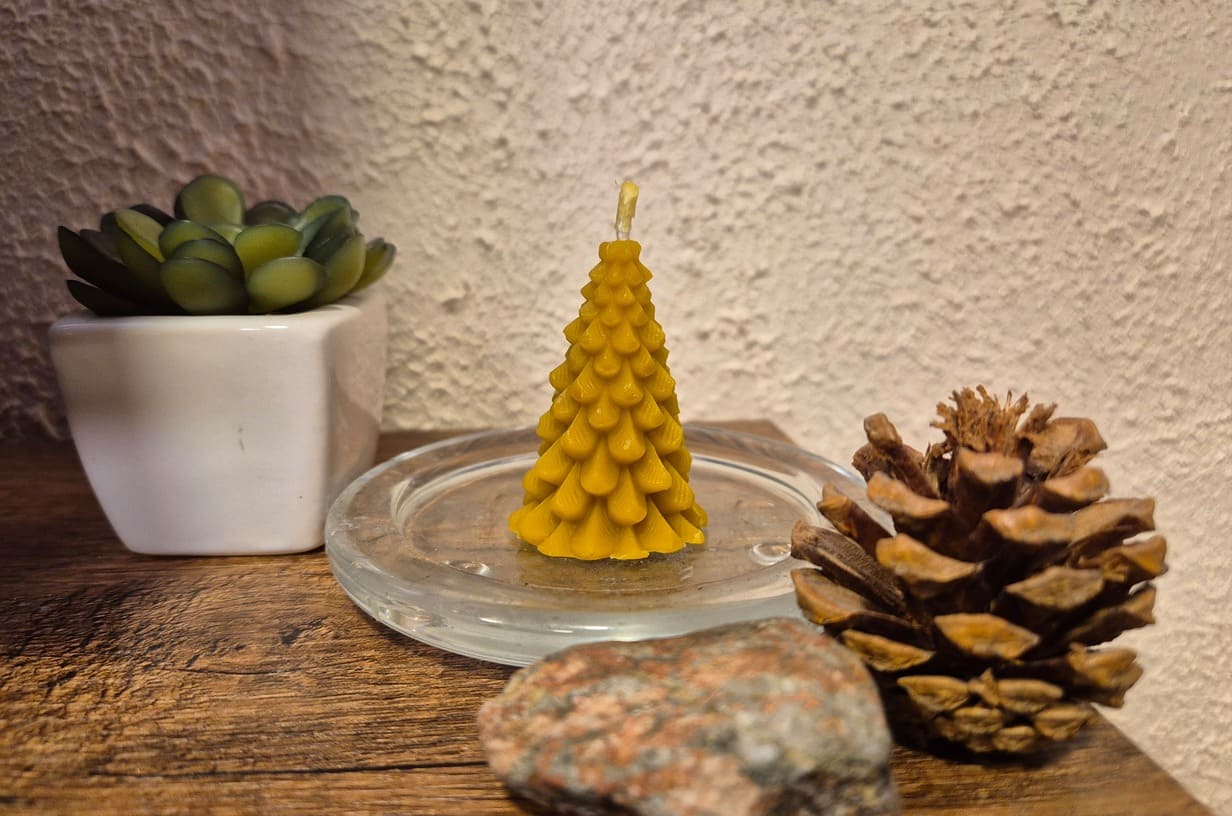 Melora bičių vaško žvakė "Eglutė"  padėta ant stiklinės lėkštutės šalia konkorėžiaus, akmenuko ir gėlytės.