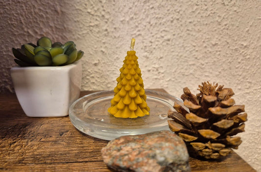 Melora bičių vaško žvakė "Eglutė"  padėta ant stiklinės lėkštutės šalia konkorėžiaus, akmenuko ir gėlytės.