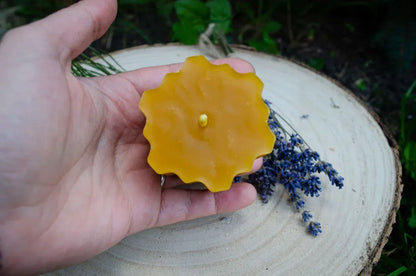 Bičių vaško žvakė "Hexas" laikoma rankoje atsukus gaminio viršų į žiūrova.