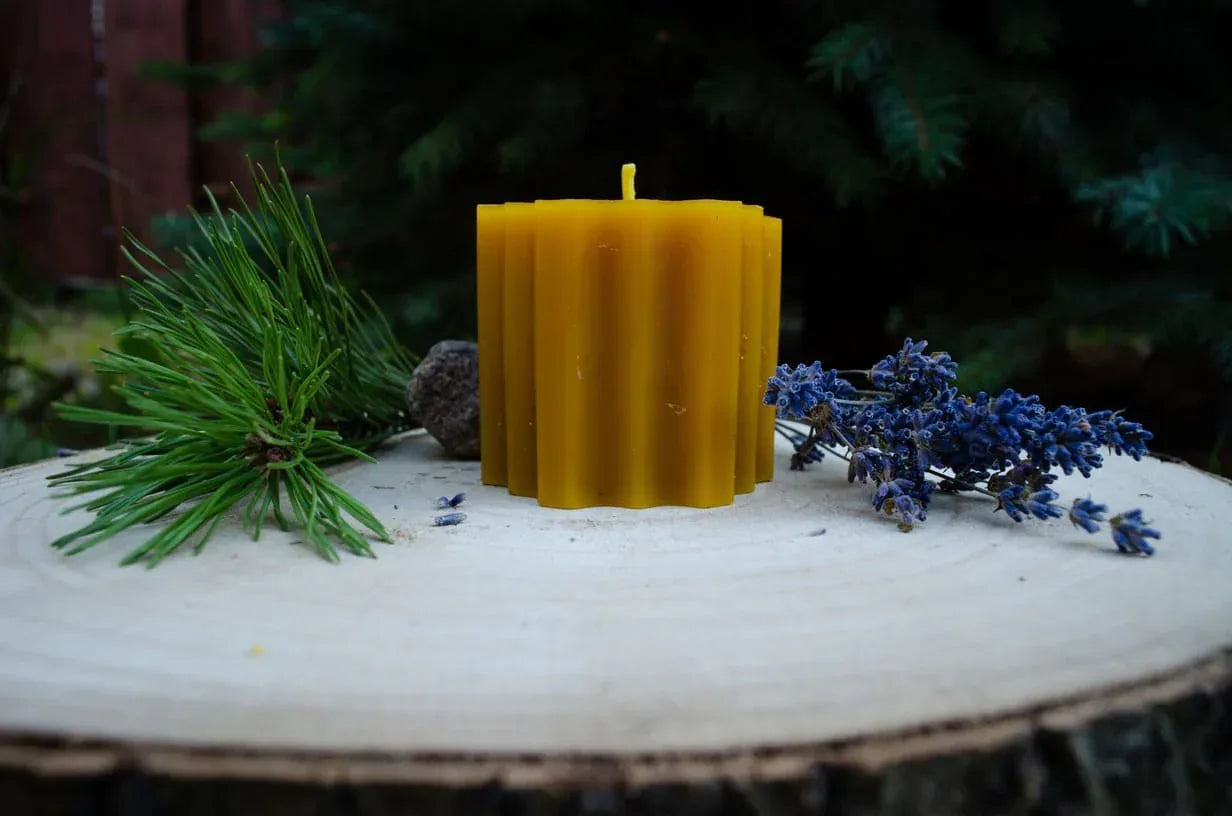 Natūralaus bičių vaško žvakė Hexas lauke pastatyta ant kelmo prie eglių.