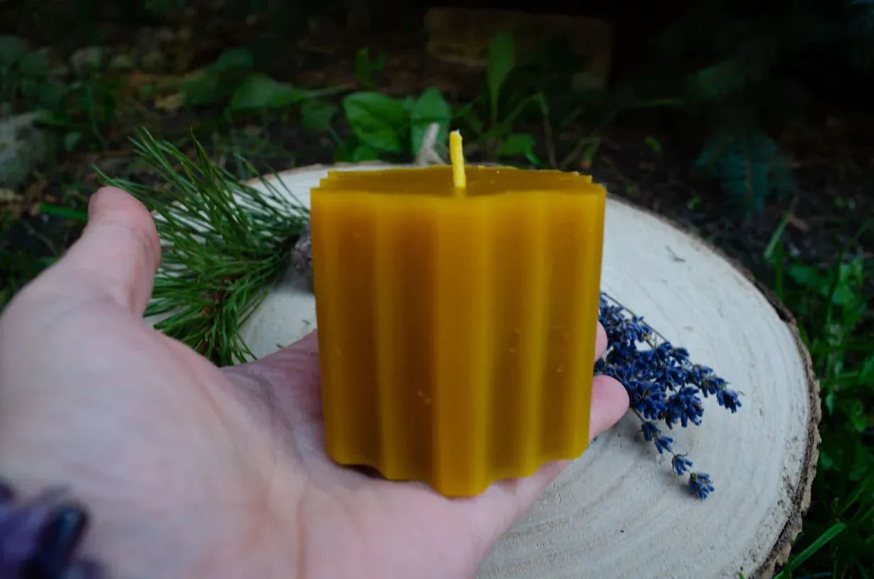 Natūralaus bičių vaško žvakė Hexas laikoma rankoje ir demonstruojama jos dydis.