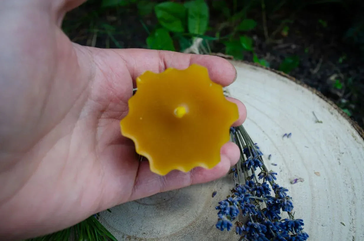 Natūralaus bičių vaško žvakė Hexas laikoma rankoje ir rodoma jos viršus.