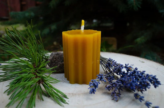 Natūralaus bičių vaško žvakė Hexas pastatyta ant kelmo šalia pušies šakelės ir levandos šakėlės.