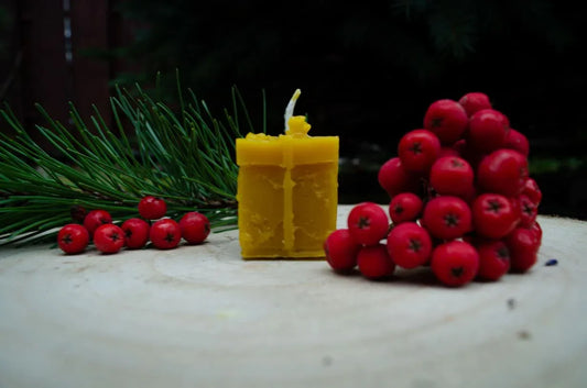 Bičių vaško žvakė "Dovanėlė" - Melora