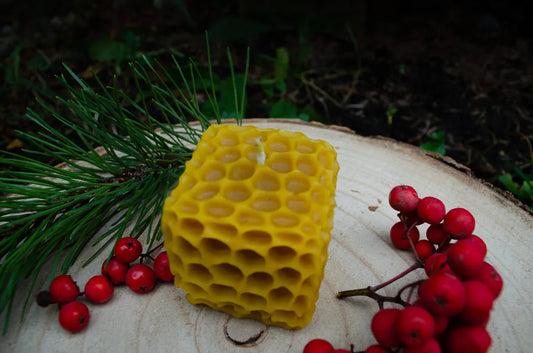 Bičių vaško žvakė "Korio kubelis" - Melora