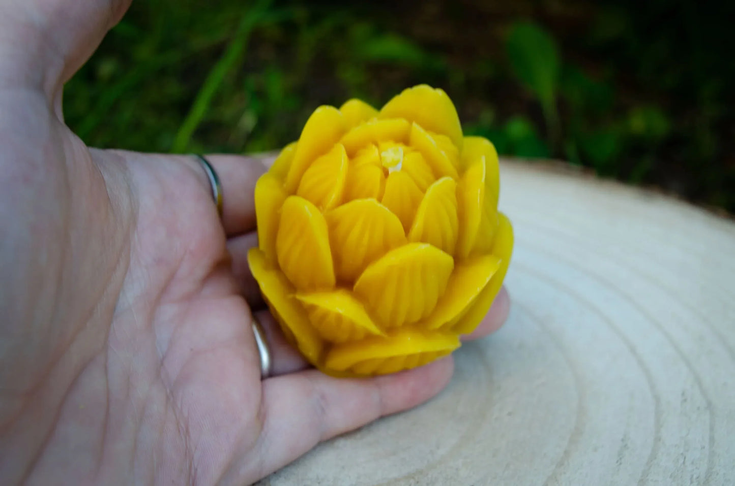 Bičių vaško žvakė "Lotusas" - Melora