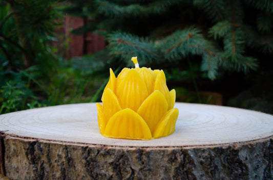 Bičių vaško žvakė "Lotusas" - Melora