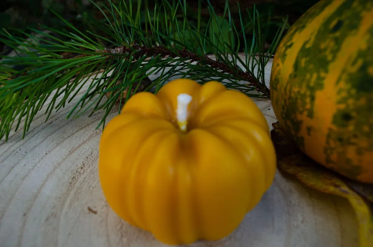 Bičių vaško žvakė "Moliūgas" - Melora