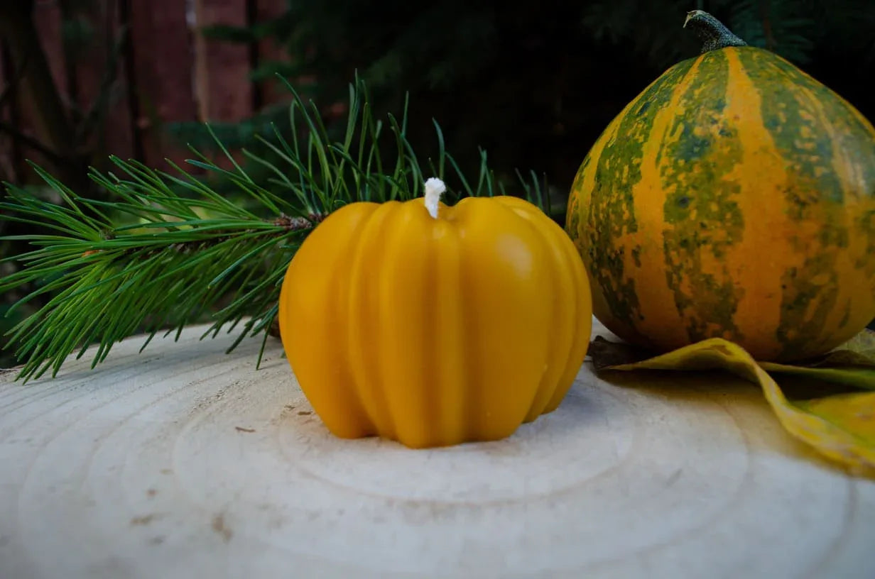 Bičių vaško žvakė "Moliūgas" - Melora