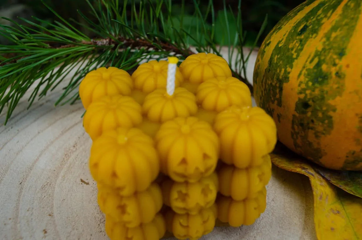 Bičių vaško žvakė "Moliūgeliai" - Melora