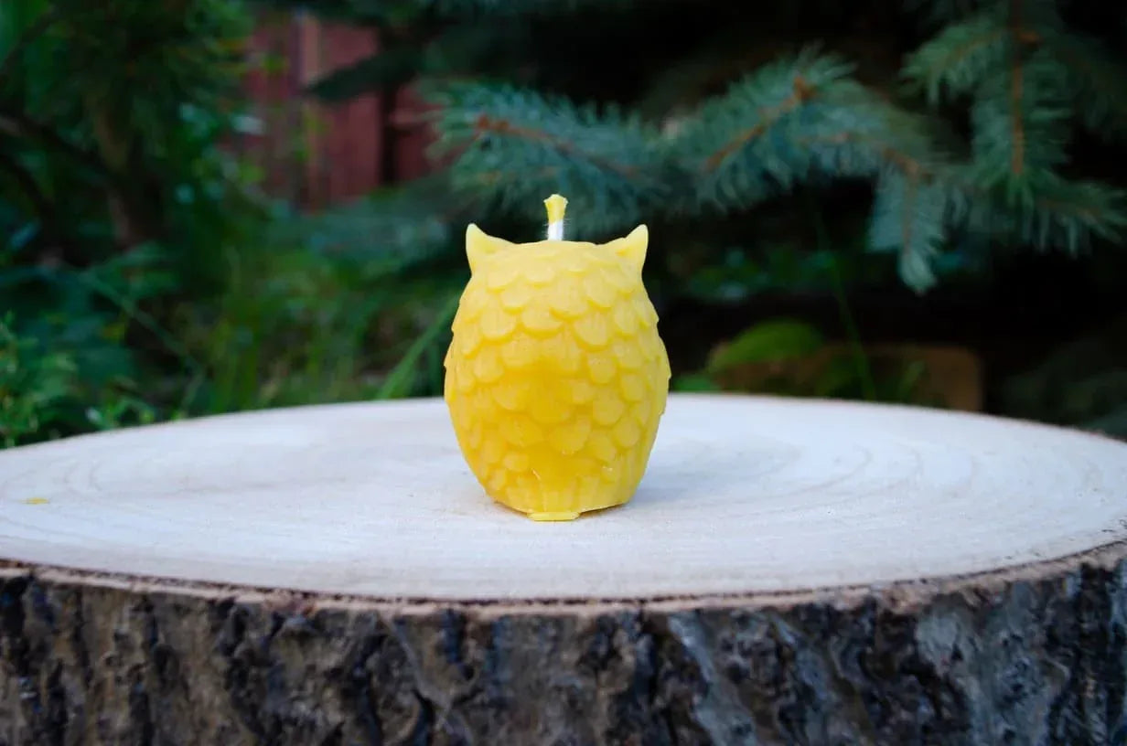 Pelėdos žvakės nugara