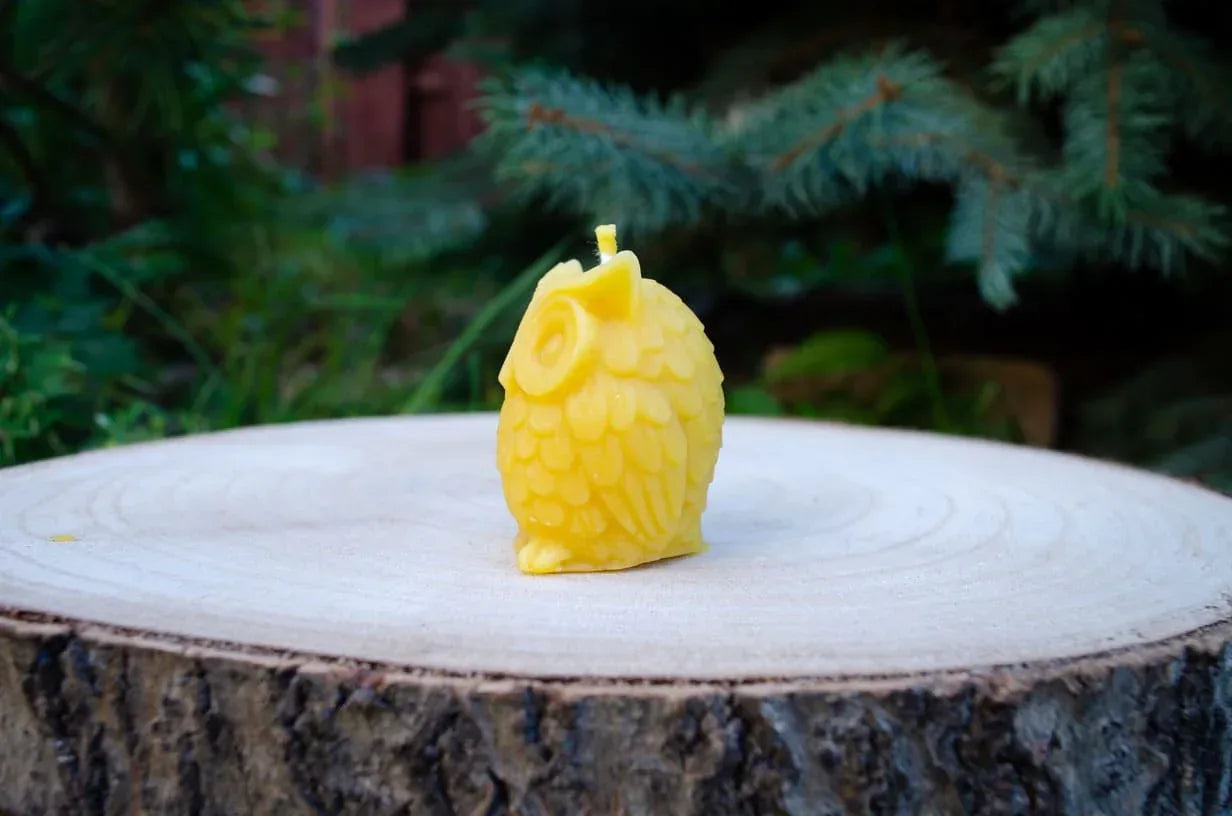 Nuotraukoje matoma pelėdos žvakė padėta šonu