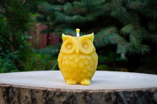 Bičių vaško žvakė "Pelėda"