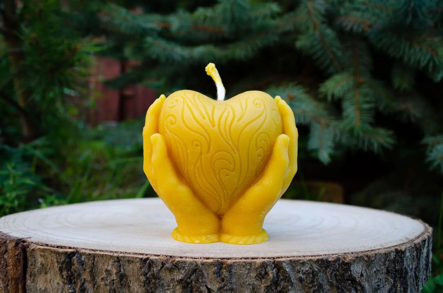 Natūralaus bičių vaško žvakė vaizduojanti delnuose laikoma širdį.