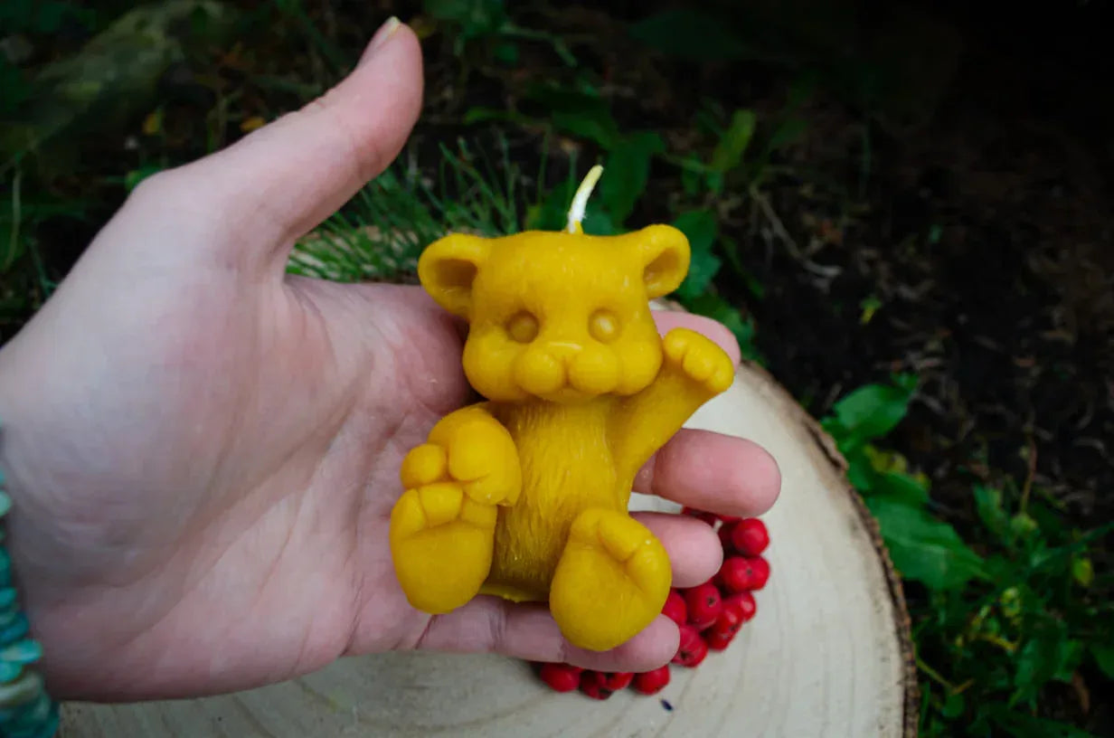 Rankoje laikoma natūralaus bičių vaško žvakė tigriukas demonstruojant jos dydį.