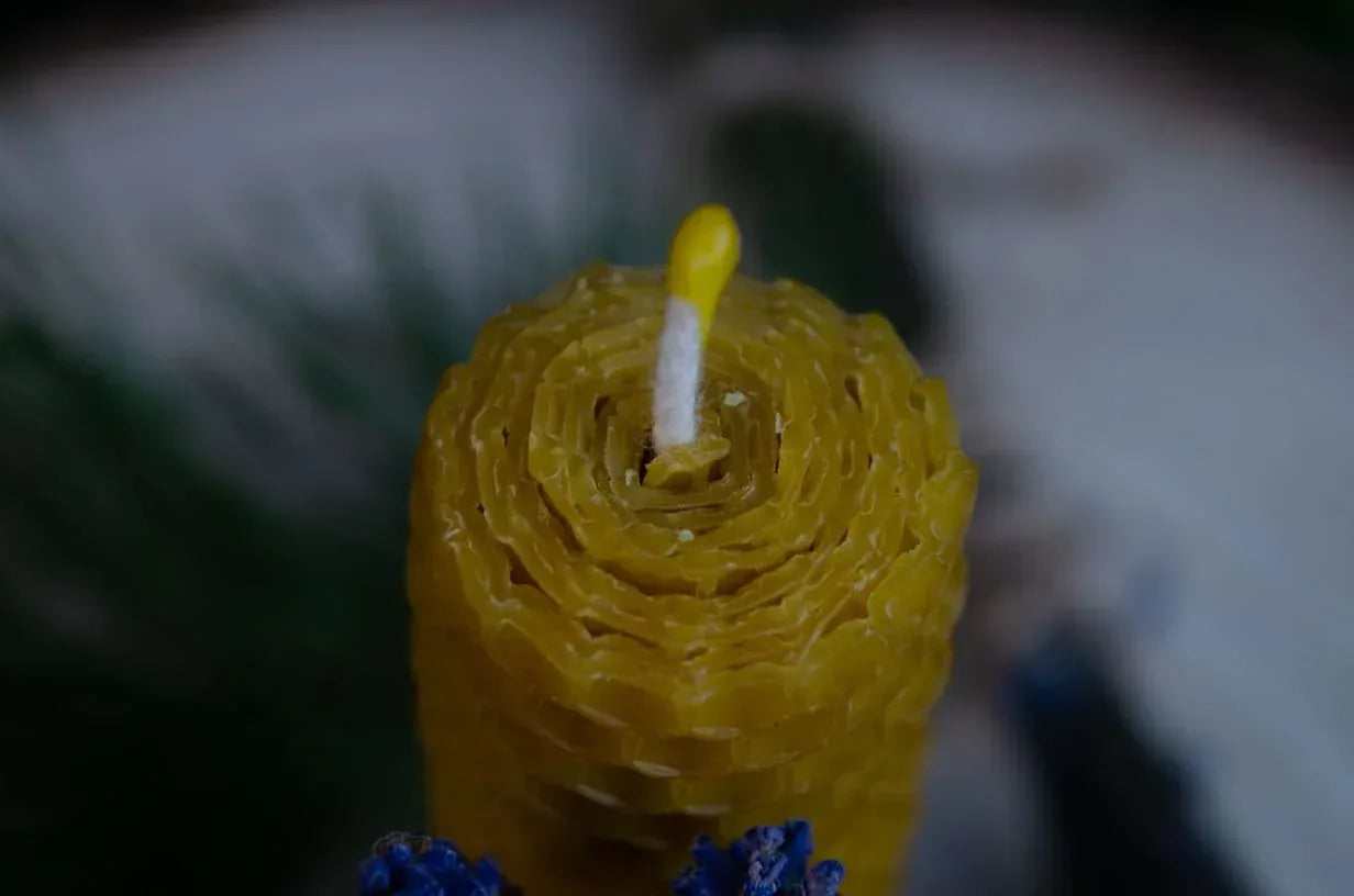 Bičių vaško žvakė "Vaškuolė" - Melora