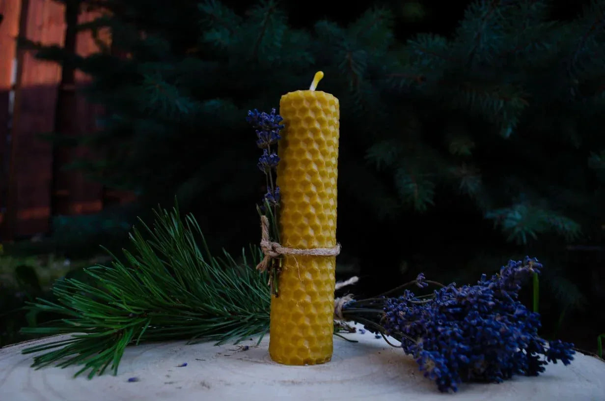 Bičių vaško žvakė "Vaškuolė" - Melora