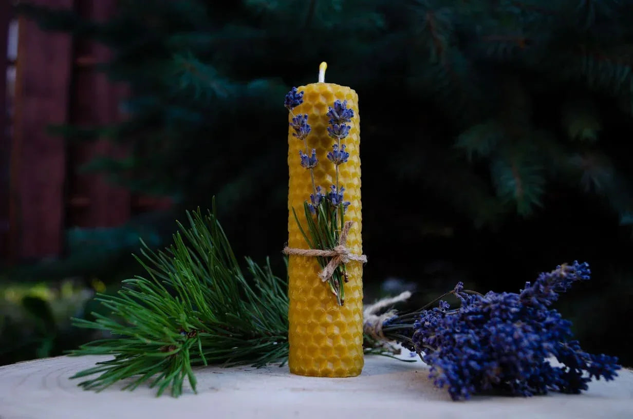 Bičių vaško žvakė "Vaškuolė" - Melora