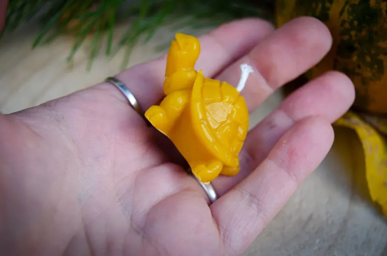 Nuotraukoje matoma vežliuko žvakė, kuri laikoma rankoje palyginti dydį.