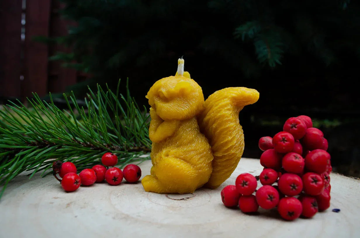 Natūralaus bičių vaško žvakė voverės formos pastatyta šonu šalia pušies šakelės.