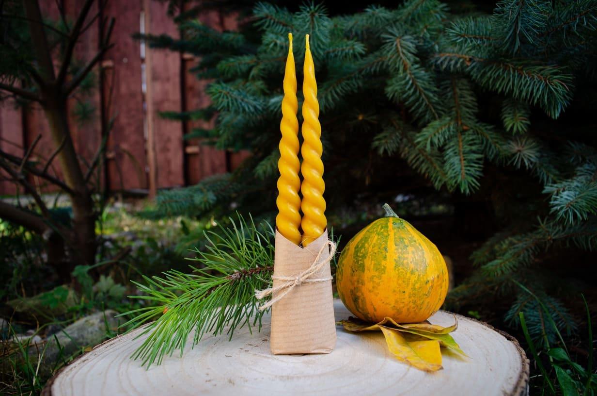 Bičių vaško vakarienės žvakių rinkinys - Melora